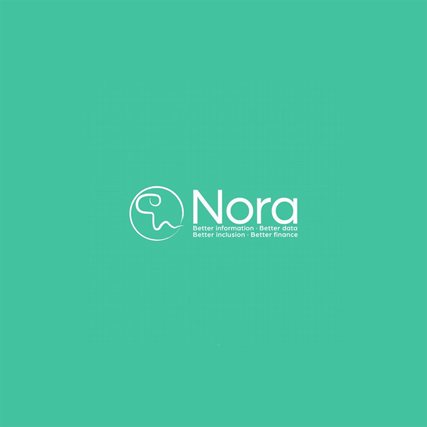 Nora logo