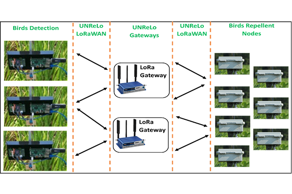 Birds’ Detector and Repellent System for Large-scale Smart Farming