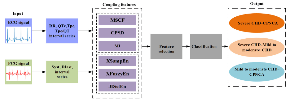 research image showing how cardiac health is assessed