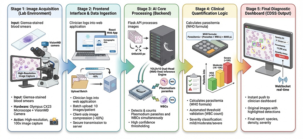 research image showing connection between data management system, repository, public, and medical centers