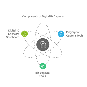 Digital ID capture graphic